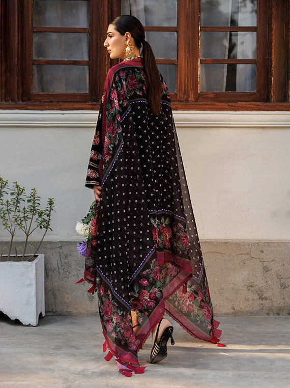 Alizeh Exclusive Luxury Formals 2026 (Alizeh AF-EL-7051-Vogue)