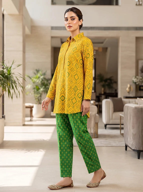 2pc Cambric Cotton Edit 2026 Vol-FB05 (D-10)