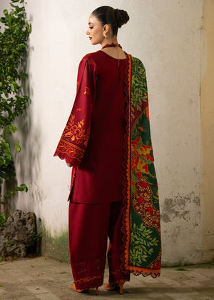 Luxury Winter Essentials Collection 2026 ( Bin Ilyas )