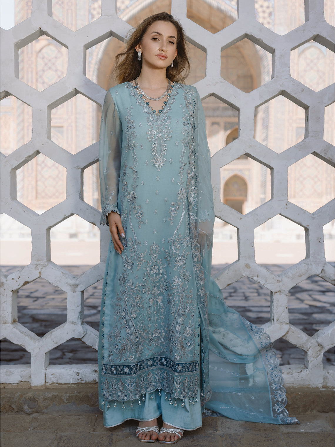 AL Kousar Festive Chiffon Collection 2026 by AHMAD EMBROIDERY (DD-05)