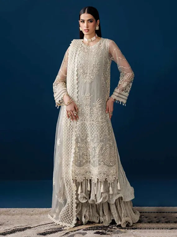 Alizeh Exclusive Embroidered Net Collection 2025 (4056-VELOR)