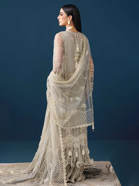 Alizeh Exclusive Embroidered Net Collection 2025 (4056-VELOR)