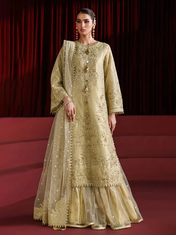 Alizeh Exclusive Embroidered Net Collection 2025 (4057-COCO)