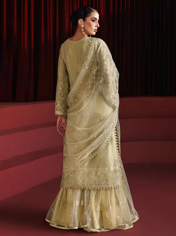 Alizeh Exclusive Embroidered Net Collection 2025 (4057-COCO)