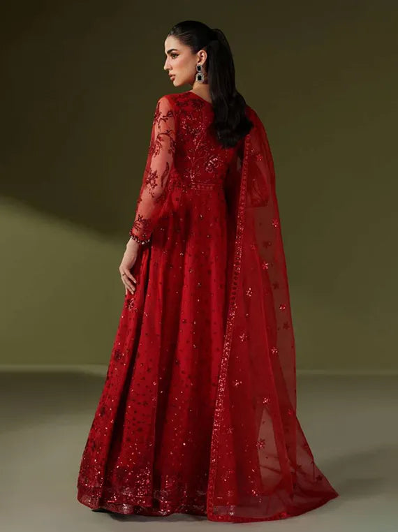 Alizeh Exclusive Embroidered Net Collection 2025 (4060-SUFFUSE)