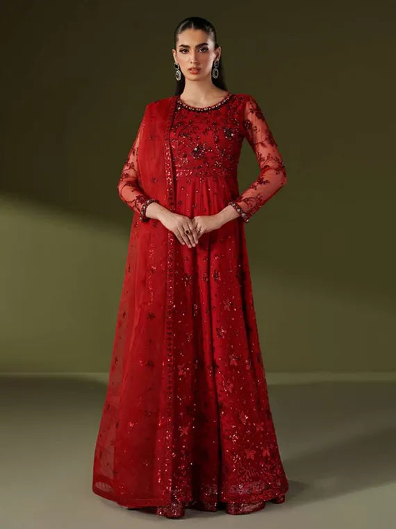 Alizeh Exclusive Embroidered Net Collection 2025 (4060-SUFFUSE)