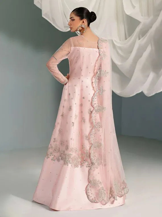 Alizeh Exclusive Embroidered Net Collection 2025 (4061-GARNET)