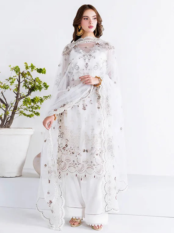 Arzoo by Ramsha Luxe Chiffon Collection 2025 Vol-02 (U-205)