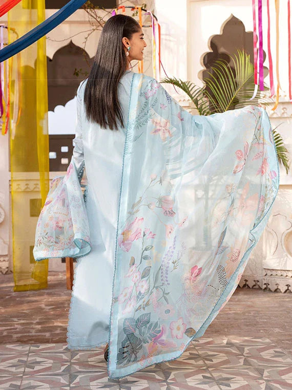 Basant by Florent Chikankari Collection 2026 (FBC-4B)