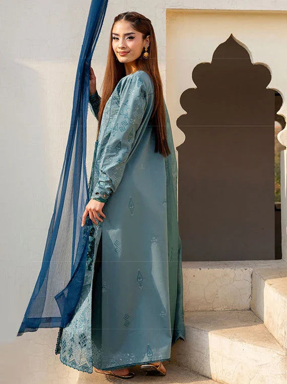 Basant by Florent Chikankari Collection 2026 (FBC-6B)