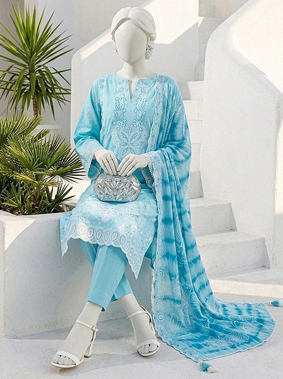 Bhanwar by ABC Winter Embroidered Slub Collection'26 (D-02)
