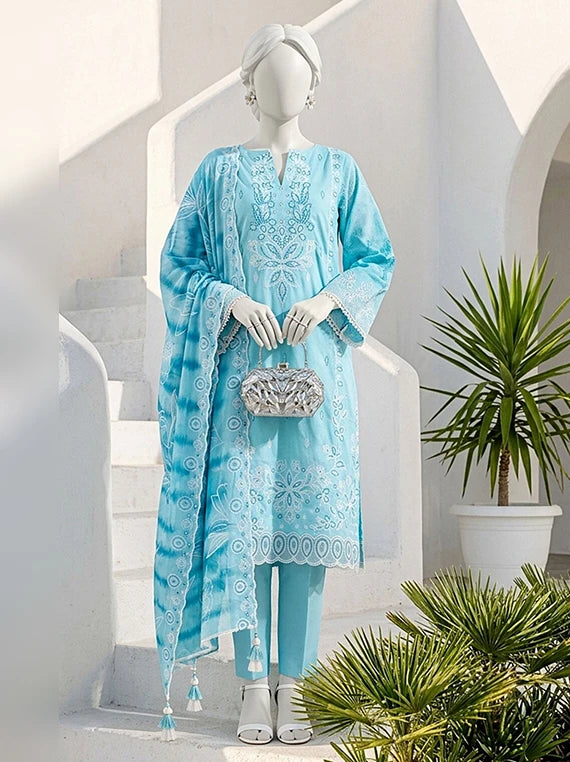 Bhanwar by ABC Winter Embroidered Slub Collection'26 (D-02)