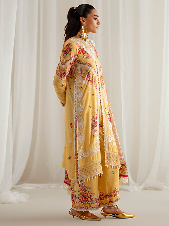 Multi-Brand Winter Collection 2026 (Bin-Ilyas-Eres-Bonita-D-1101)