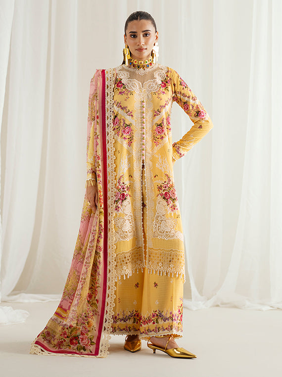 Multi-Brand Winter Collection 2026 (Bin-Ilyas-Eres-Bonita-D-1101)
