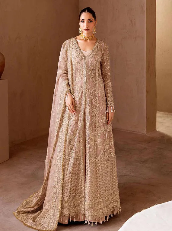 CLAY & COUTURE Organza Collection 2025 by Emaan Adeel (02-Celestial)