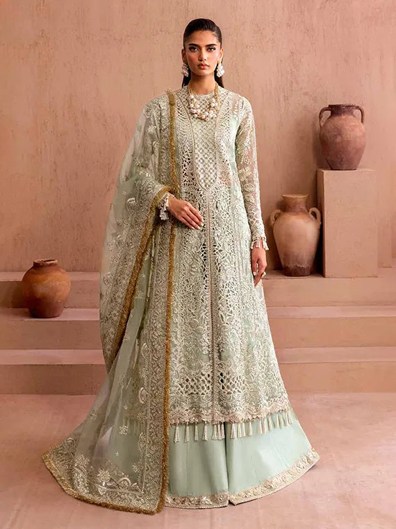 CLAY & COUTURE Organza Collection 2025 by Emaan Adeel (05-Zarve)