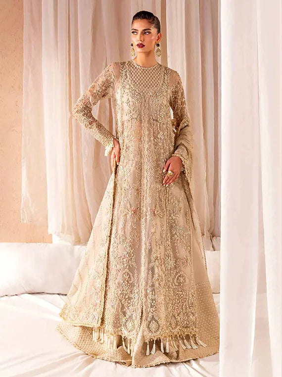 CLAY & COUTURE Organza Collection 2025 by Emaan Adeel (06-Malena)