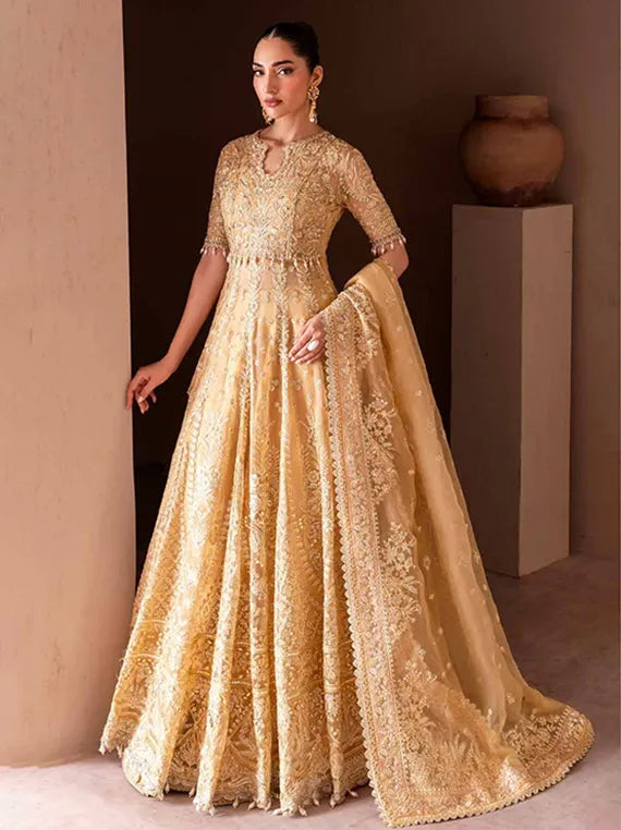 CLAY & COUTURE Organza Collection 2025 by Emaan Adeel (07-Seren)