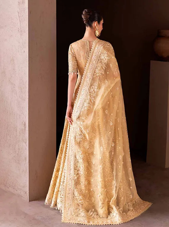 CLAY & COUTURE Organza Collection 2025 by Emaan Adeel (07-Seren)