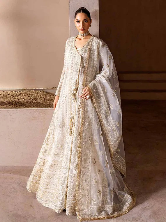 CLAY & COUTURE Organza Collection 2025 by Emaan Adeel (08-Aurea)