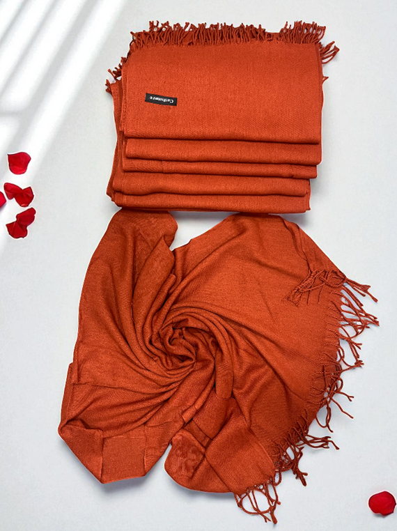 Classic Elegance – Pashmina Wool Stole Edit 2025 (25ST20-1)