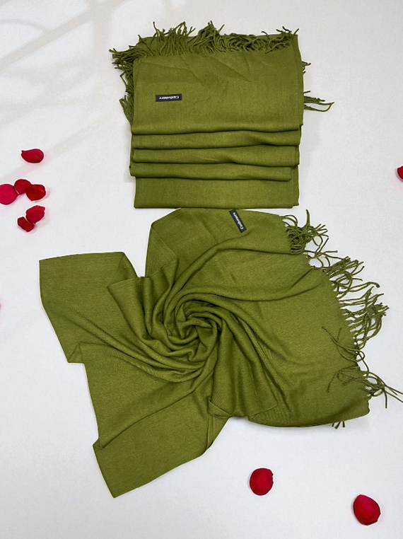 Classic Elegance – Pashmina Wool Stole Edit 2025 (25ST20-2)