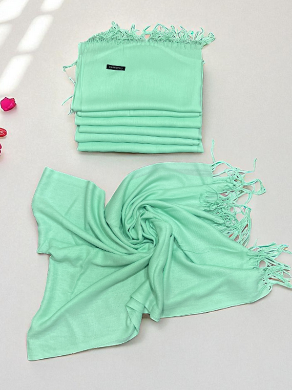 Classic Elegance – Pashmina Wool Stole Edit 2025 (25ST20-4)