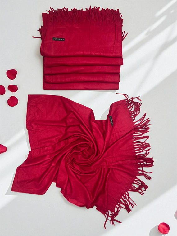 Classic Elegance – Pashmina Wool Stole Edit 2025 (25ST20-9)