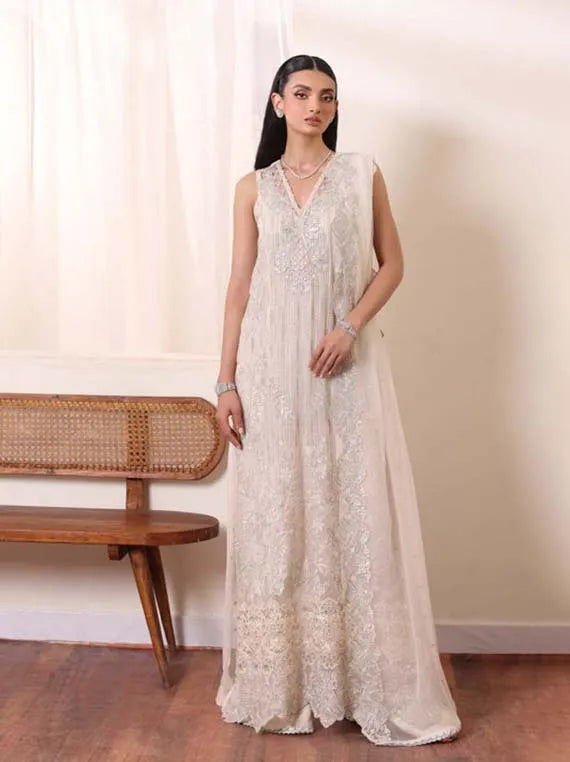 DE Luxe Chiffon Collaction 2024 By Noor Saadia Asad(D-05)