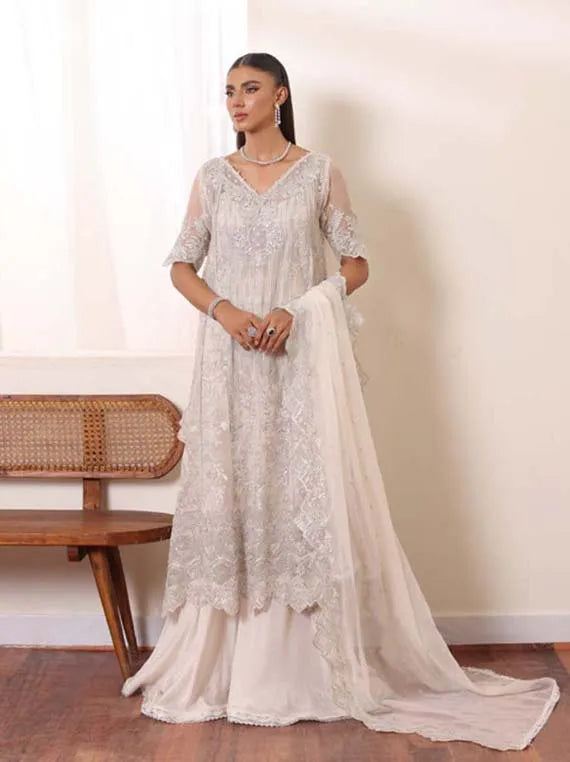 DE Luxe Chiffon Collaction 2024 By Noor Saadia Asad(D-05)