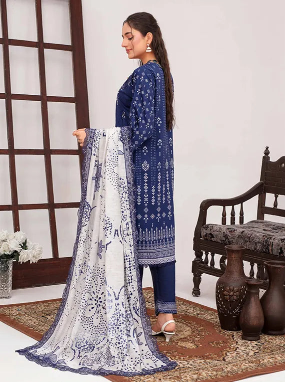Dastan E Noor Bana Dora Viscose Collection 2025 By Rang Raiz (D-10)