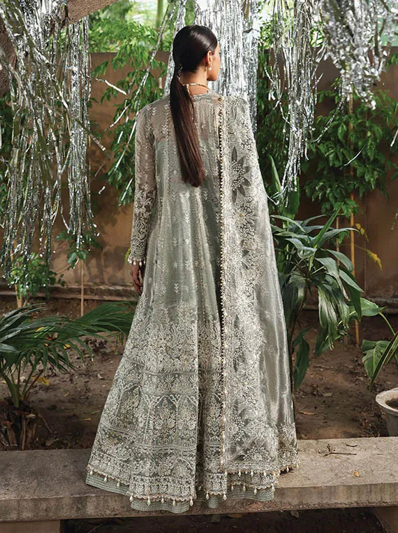 Dastangoi by Afrozeh Exclusive Organza Collection 2025 (CANDLENIGHT)