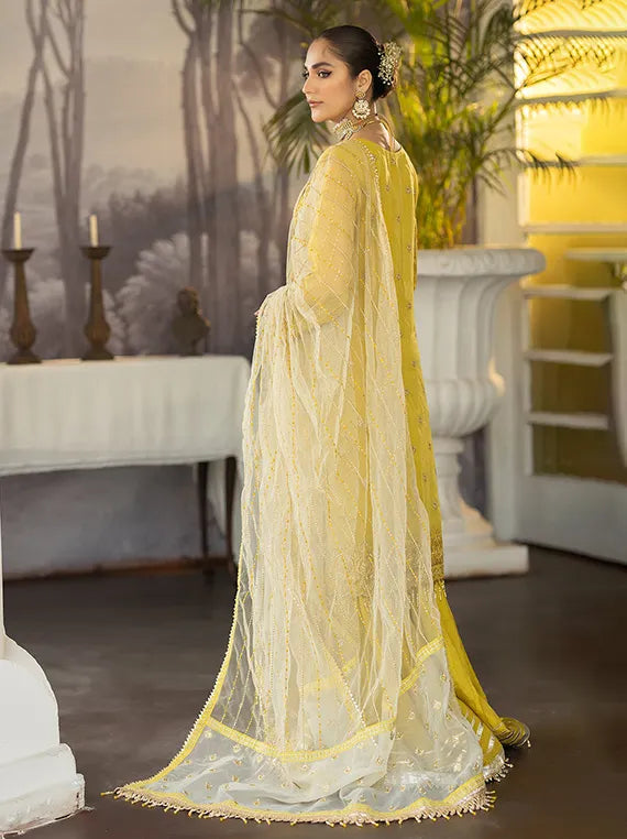 dl dress luxury Dehleez Luxury Festive Collection 2025 By Raeesa Vol-03 (DL-1026) – Umar  Poshak