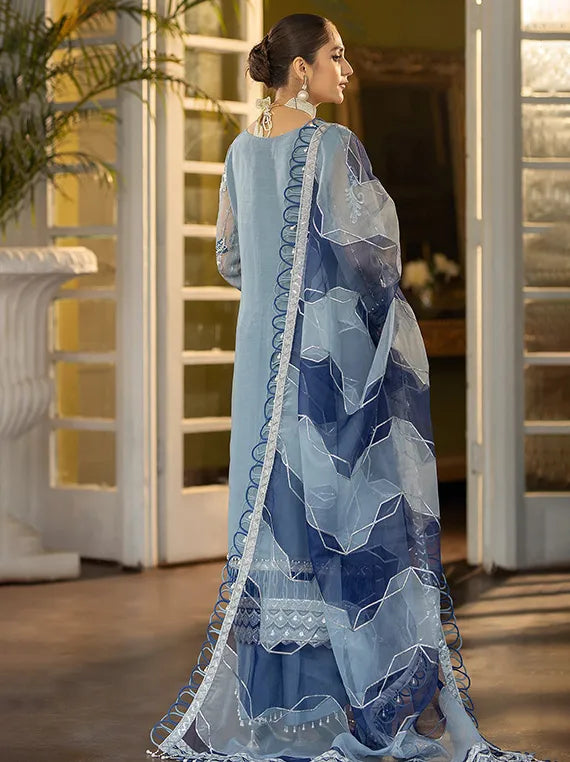 dl dress luxury Dehleez Luxury Festive Collection 2025 By Raeesa Vol-03 (DL-1028) – Umar  Poshak