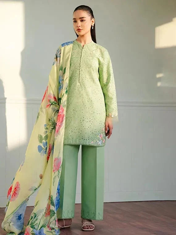 EXCLUSIVE Luxury Collection 2026 (Coco-Tina-03B)