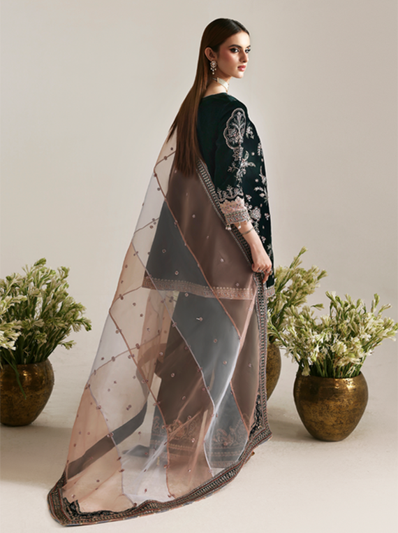 Emaan Adeel Luxury Organza Formal Collection 2026 (01-MEHRUUNISA)