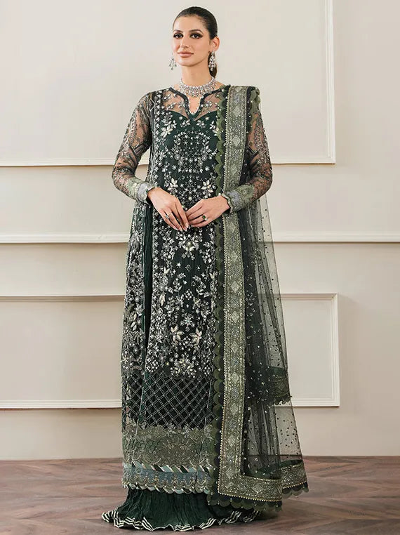Embroidered Net Collection 2025 By Baroque (BQU-CH12-D05) – Umar Poshak ...