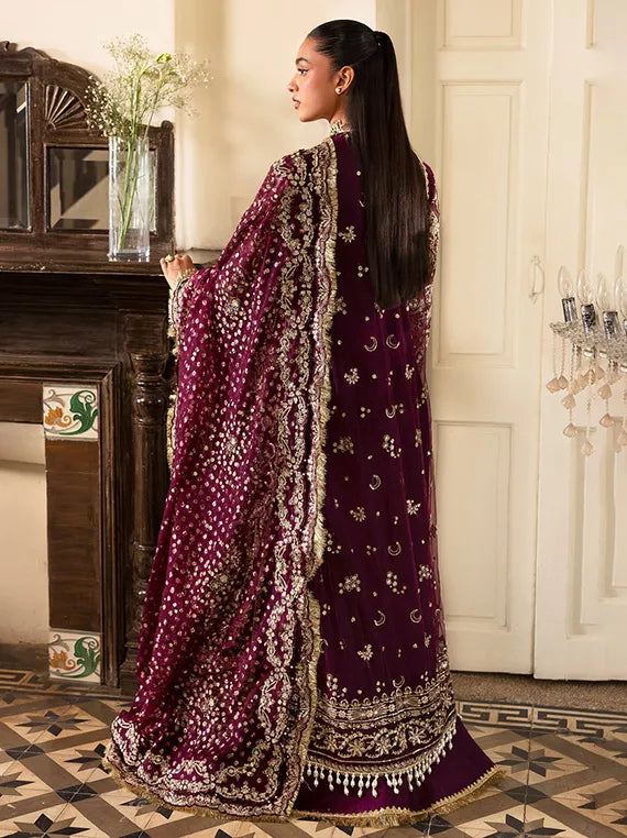 Festive Dream Chiffon Collection 2026 (Gildentide)