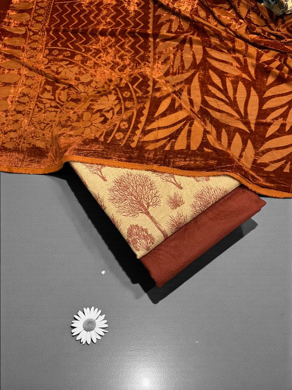 Luxury Printed Marina & Velvet Shawl Edit 2025 (25DS31-02)