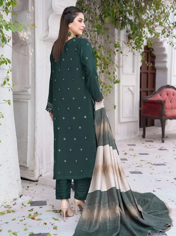 MERI ARZO Embroidered Dhanak Collection 2025 by Manizay (D-03)