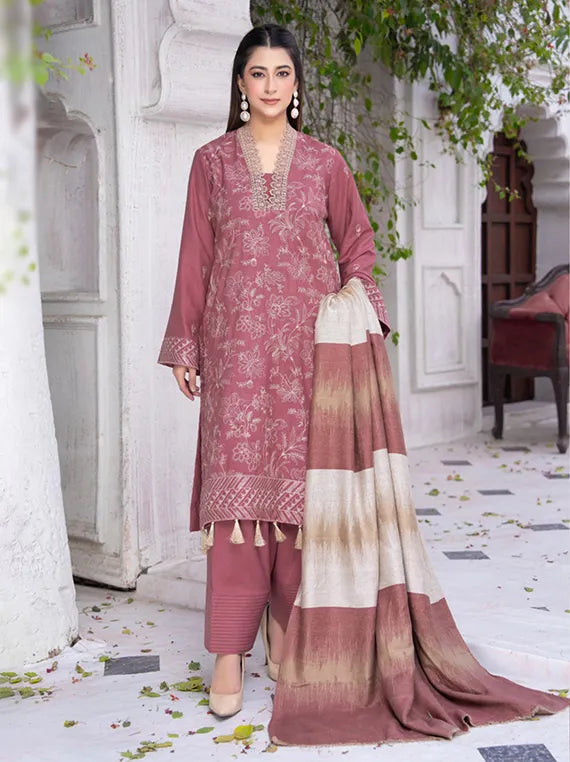 MERI ARZO Embroidered Dhanak Collection 2025 by Manizay (D-06)