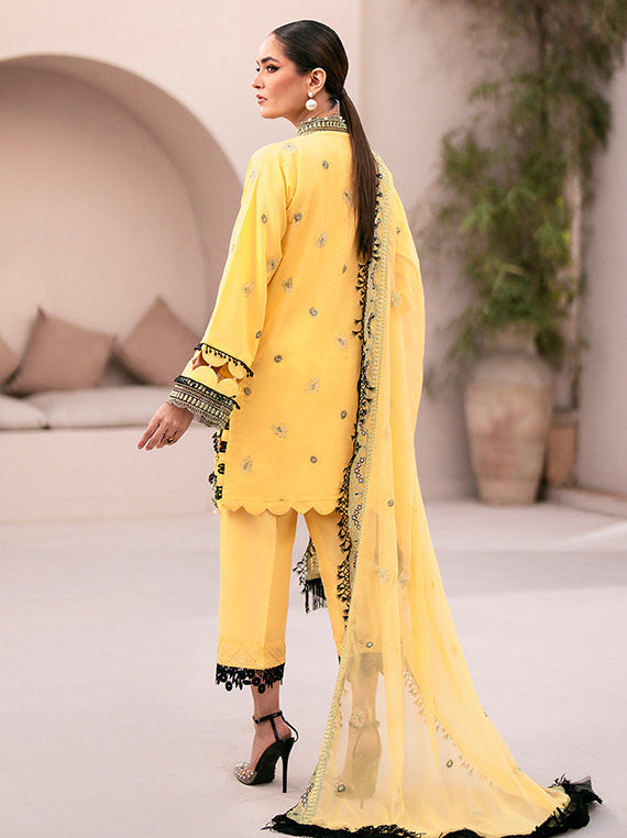 Heritage Designer Collection 2026 by Umar Poshak (Lala-Veranda-Swiss-Manisha)