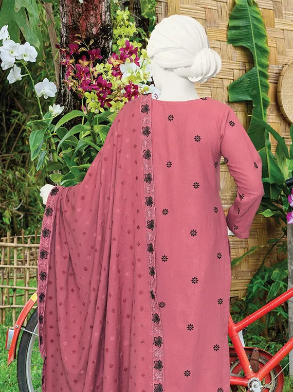 Maheen By ABC Embroidered Dhanak Collection 2025 Vol-02 (D-06)