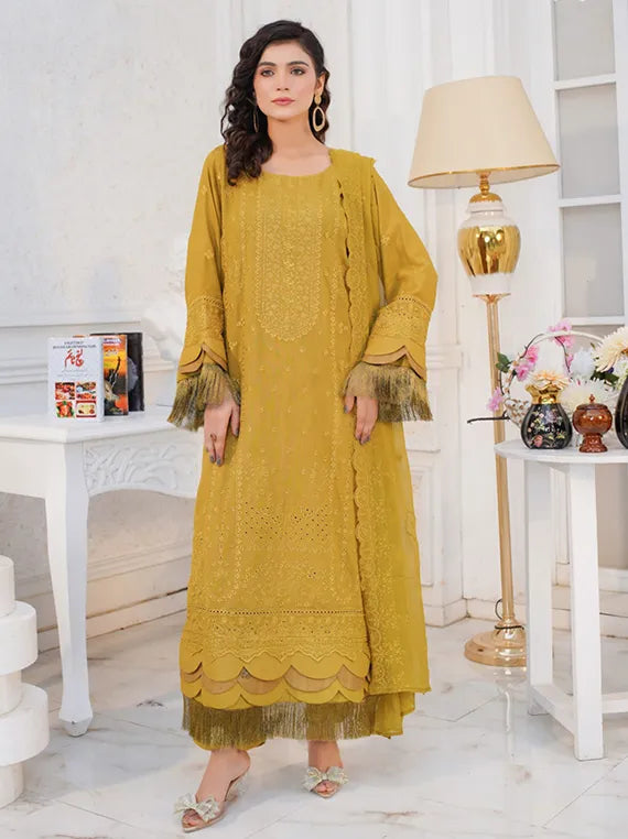 Manzel Chikenkari Karandi Collection 2025 By Manizay (M-09)