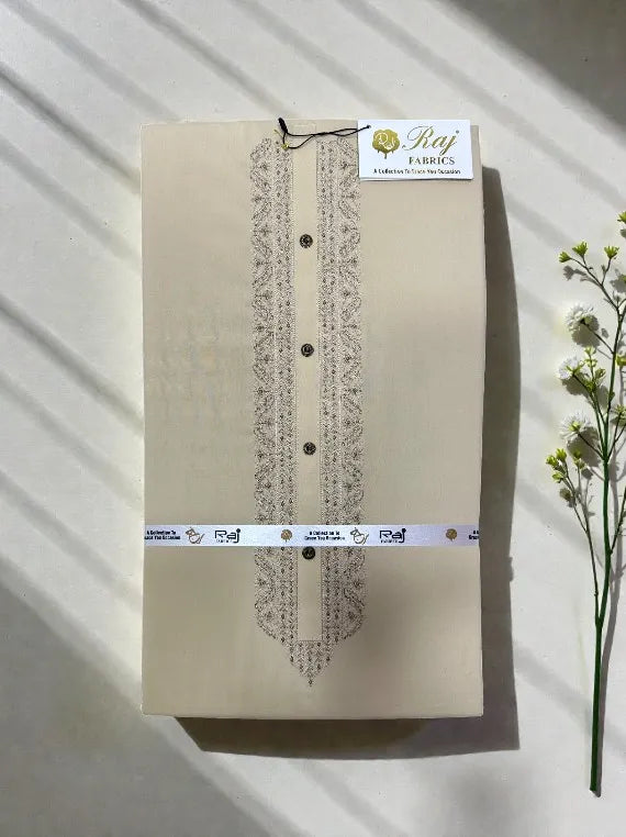 Mens Embroidered Wash & Wear Edit 2026 Vol-BX18 (D-01)