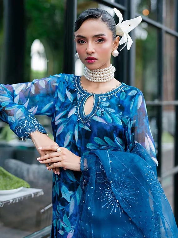 Multi Embroidered Fancy Chiffon Collection 2026 (NU2-153)