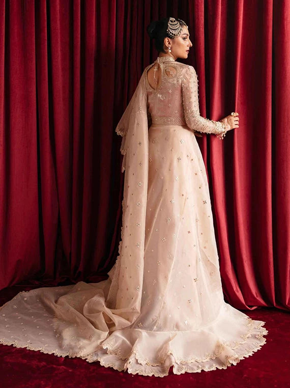 Multi Embroidered Fancy Chiffon Collection 2026 (Reena)
