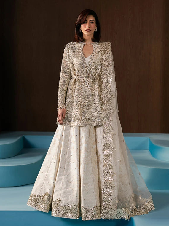 Multi Embroidered Fancy Chiffon Collection 2026 (Rohave)