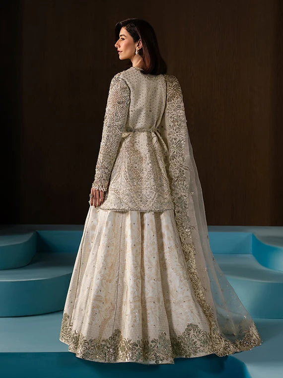 Multi Embroidered Fancy Chiffon Collection 2026 (Rohave)