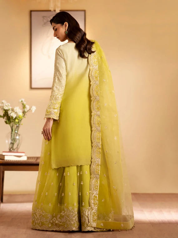 Multi Embroidered Fancy Chiffon Collection 2026 (Sabian)